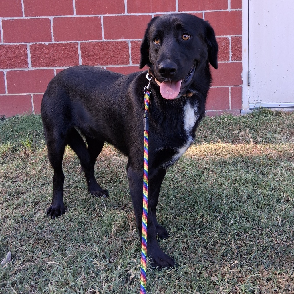 Ernie, photo 2