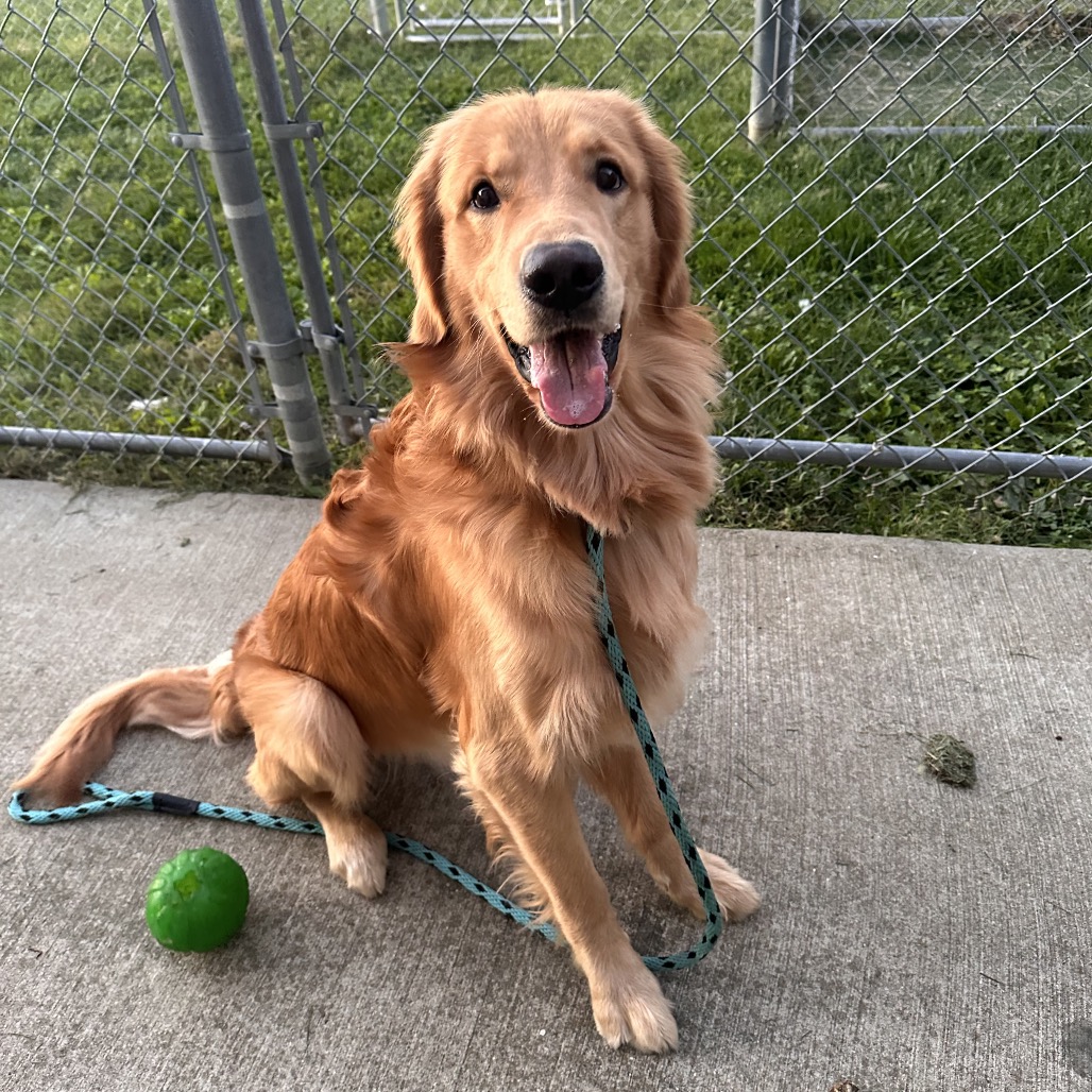 Gus 