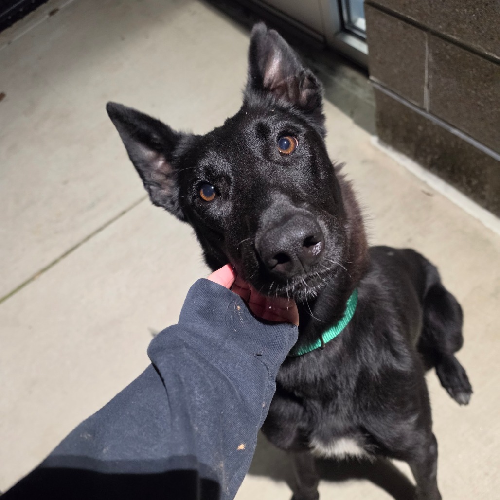 Moonstone, photo 5