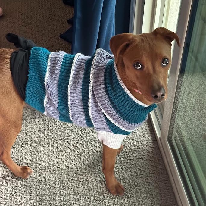 Michi — thumbnail 3