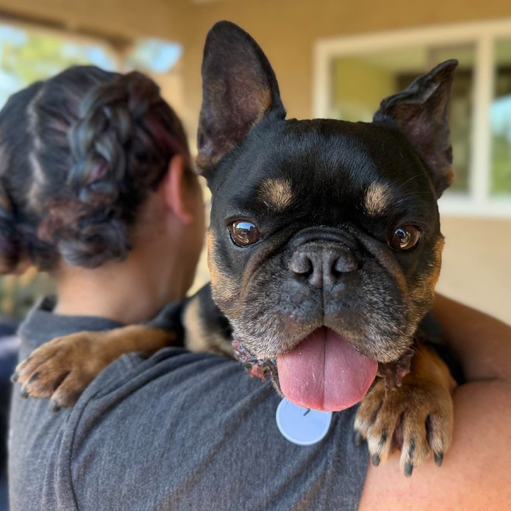 Remo