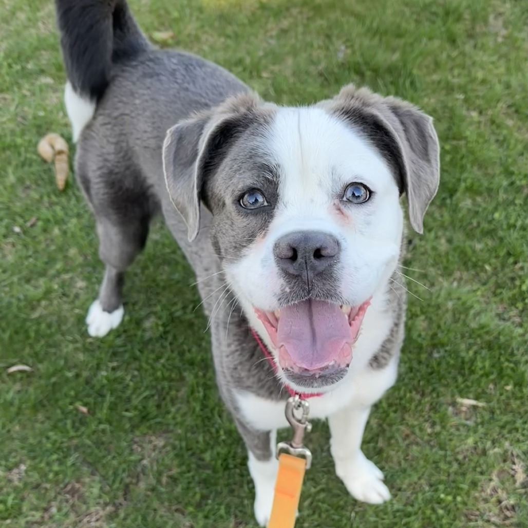 Photo of Sastrugi 12