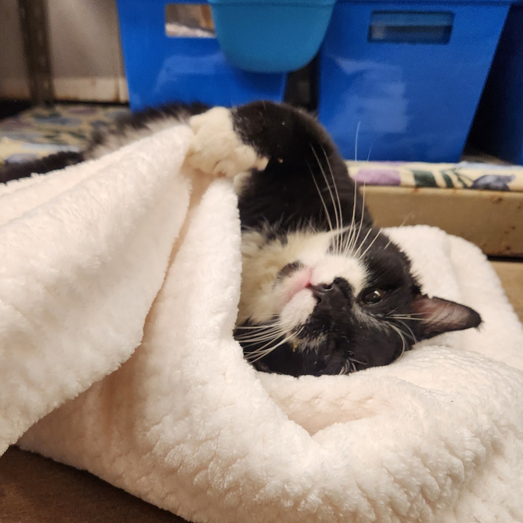 Andrew — thumbnail 5