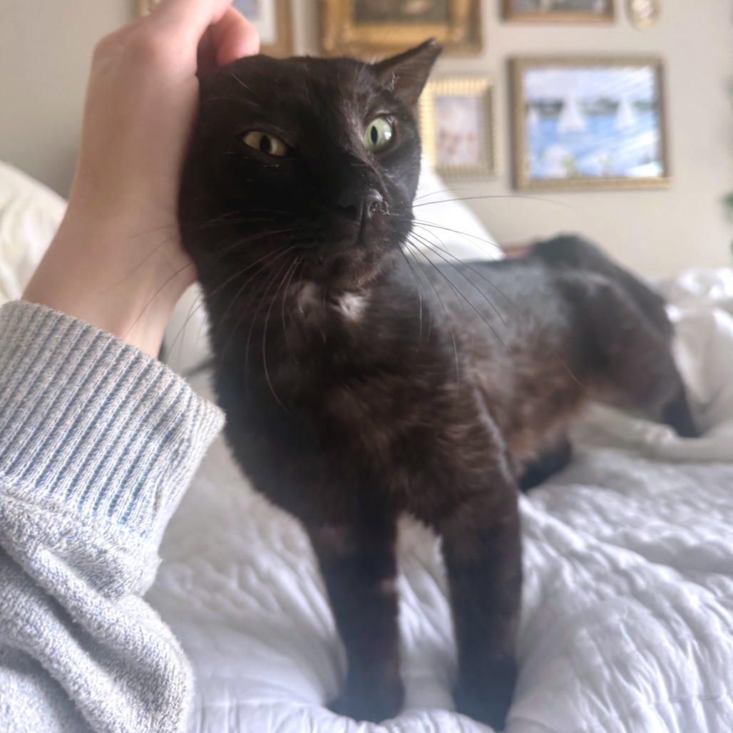 Edgar Eduardo — thumbnail 9