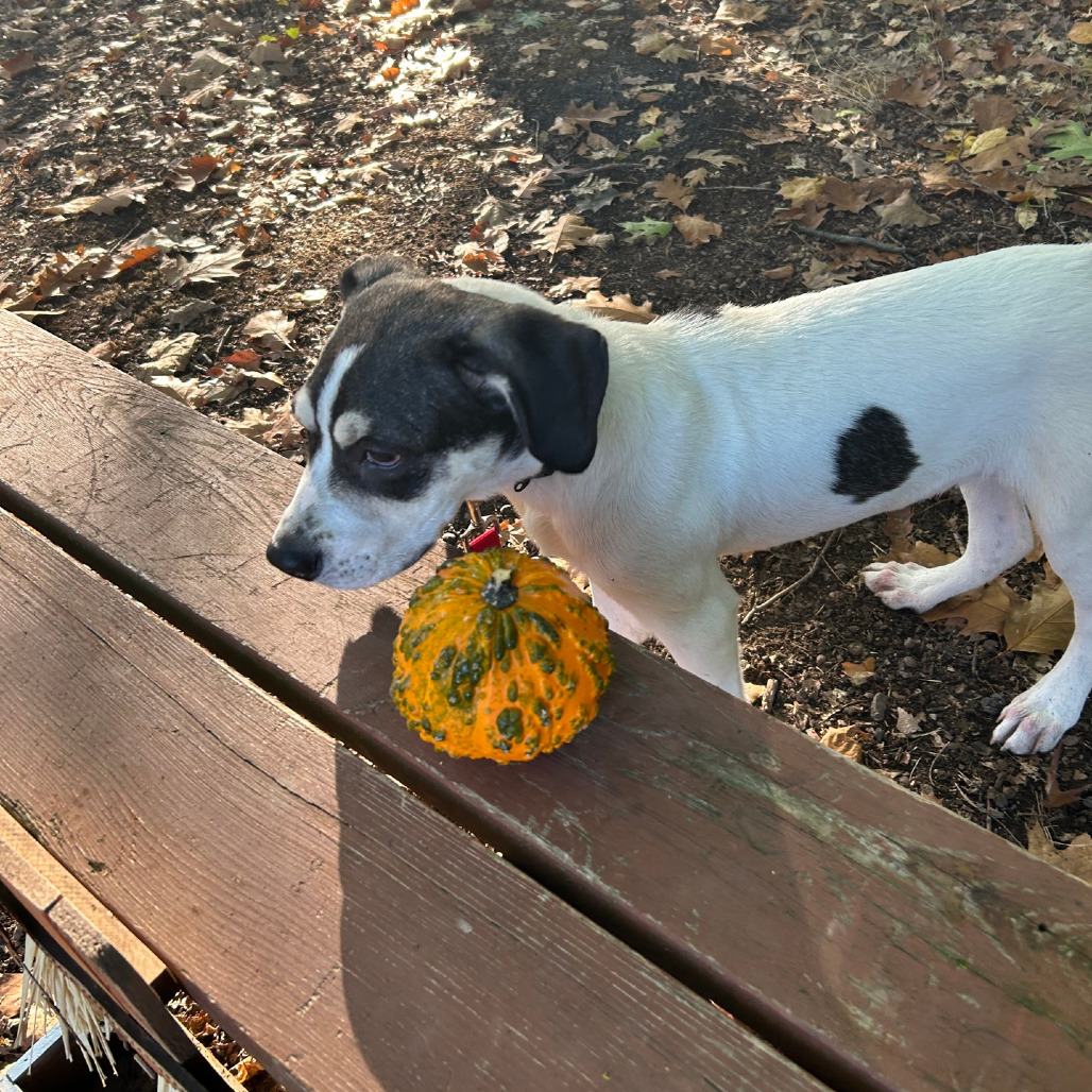 Tracker, photo 35