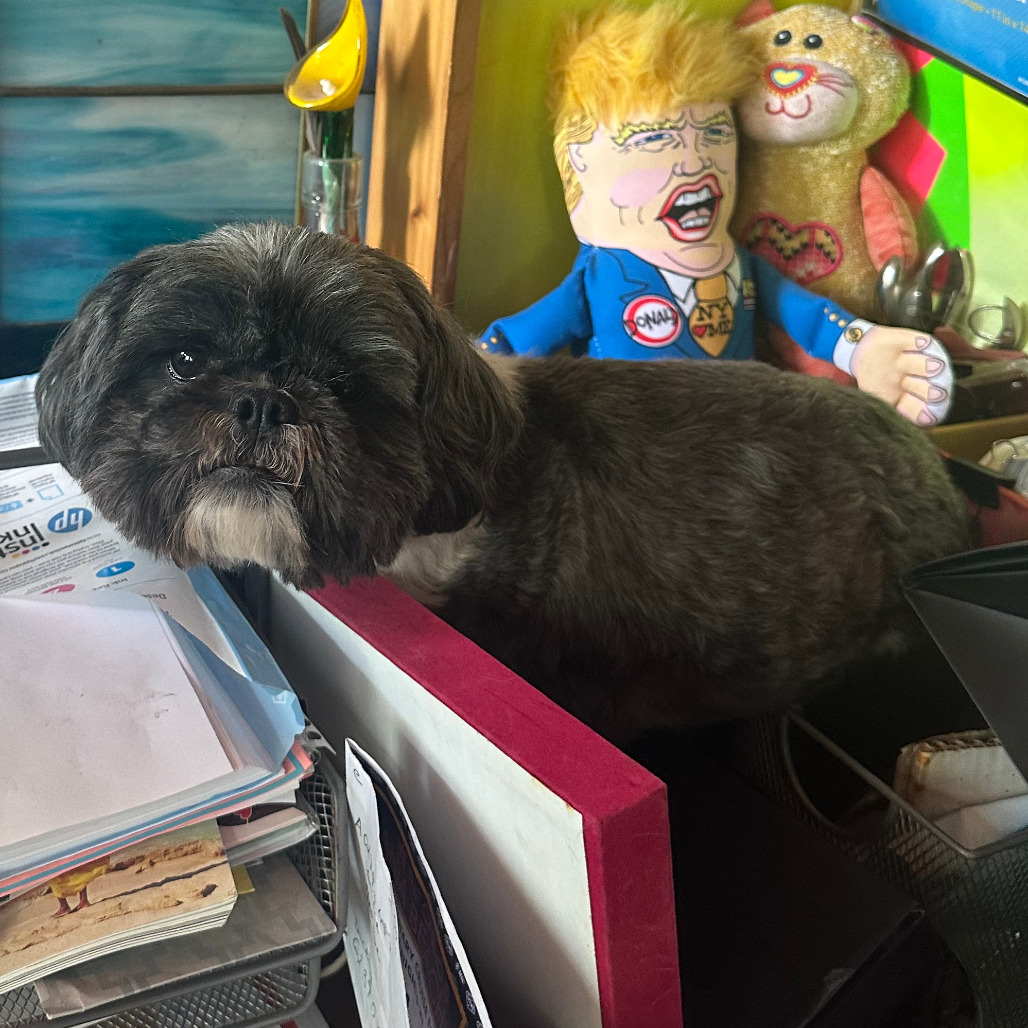 Bentley, photo 5