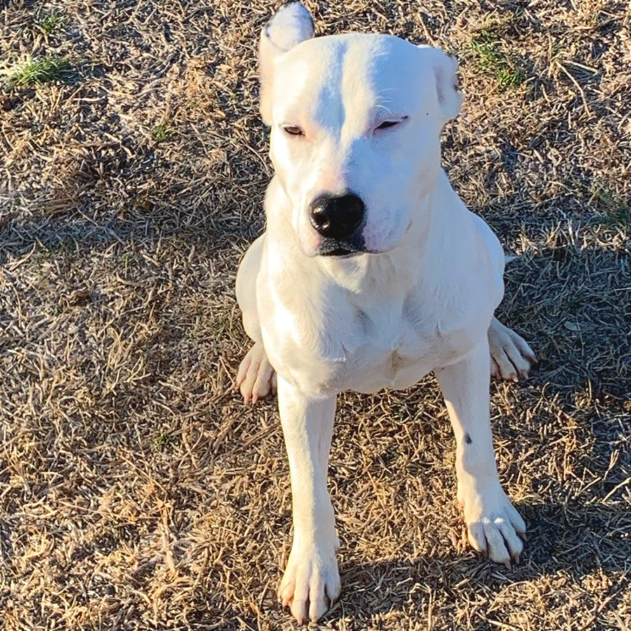 Winnie — thumbnail 11