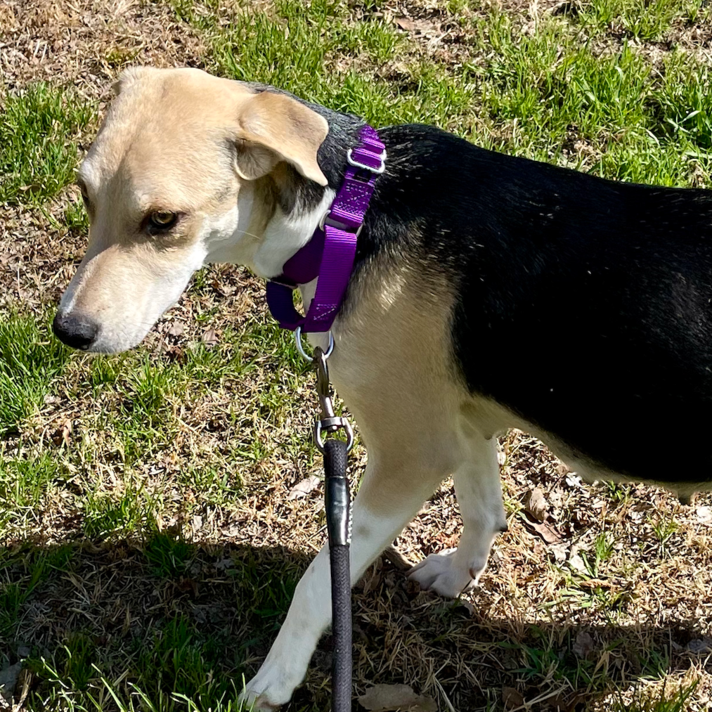 Princess Peach — thumbnail 8