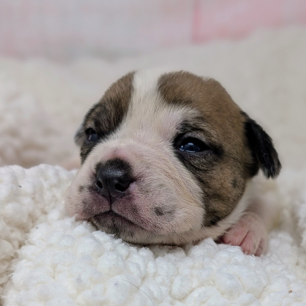 Kiss — thumbnail 5