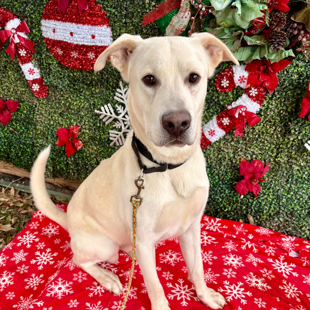 Autumn Equinox — thumbnail 9