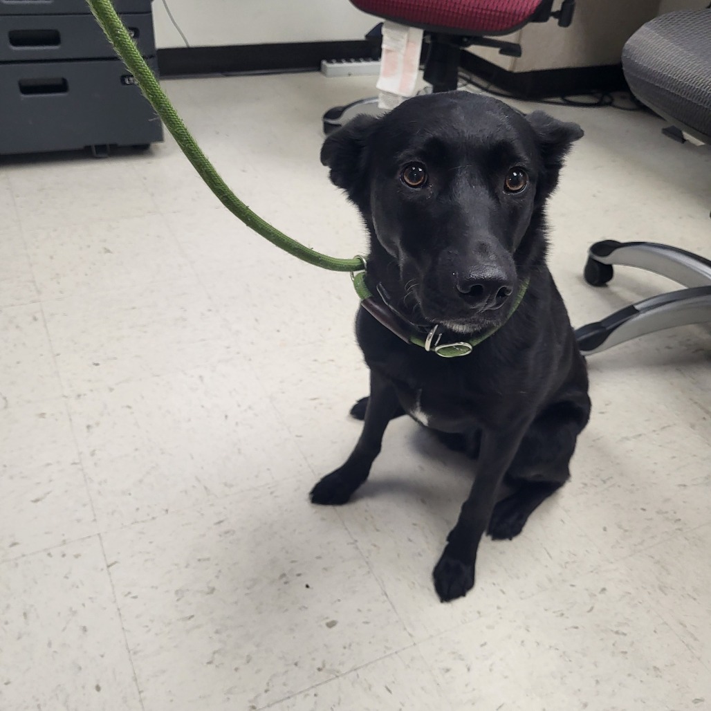 Ariel — thumbnail 2