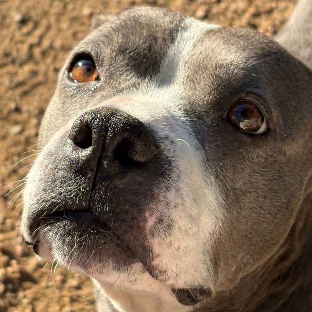 Goddess — thumbnail 9