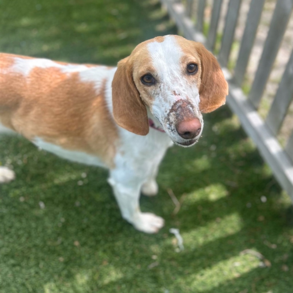 09600120a71ff9030929fe75d01c0880 jpg 09600120a71ff9030929fe75d01c0880-jpg