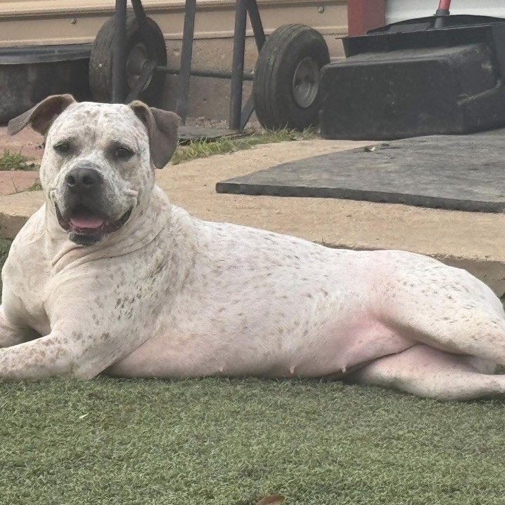 Photo of Lilly