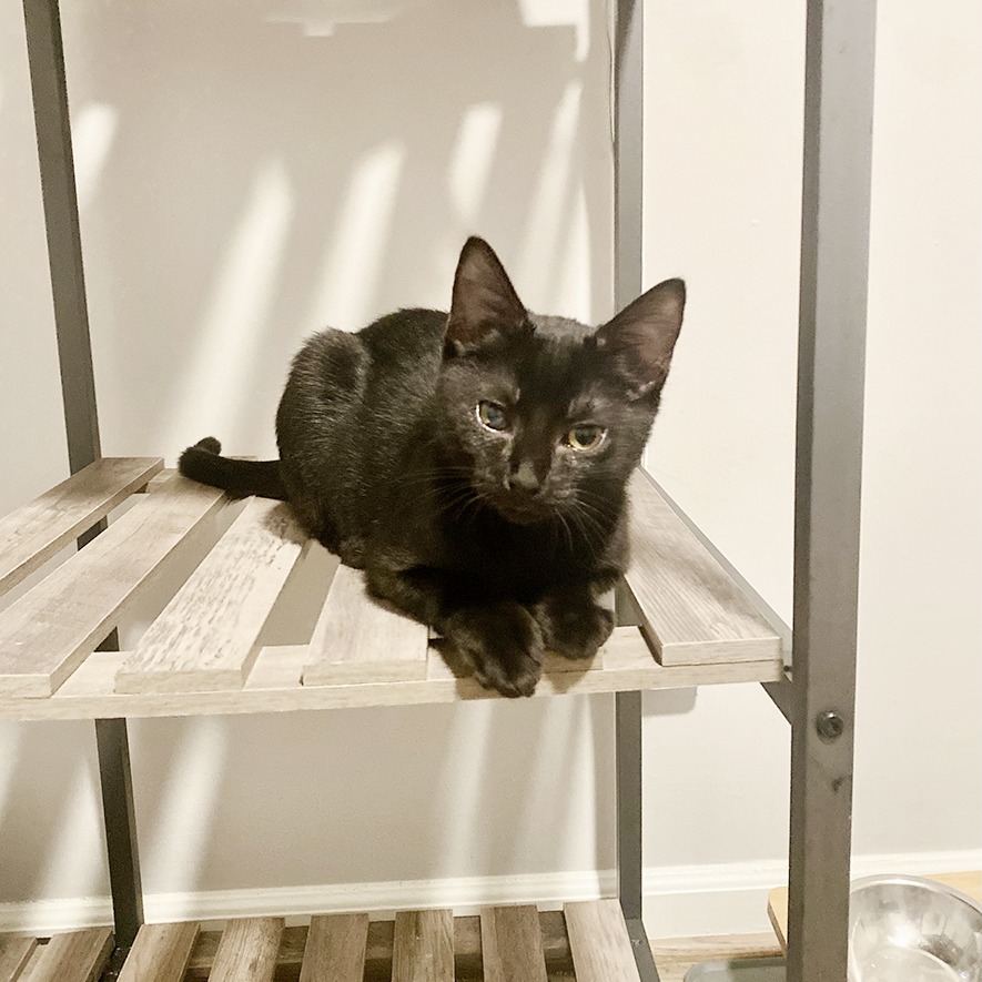 Billy — thumbnail 5