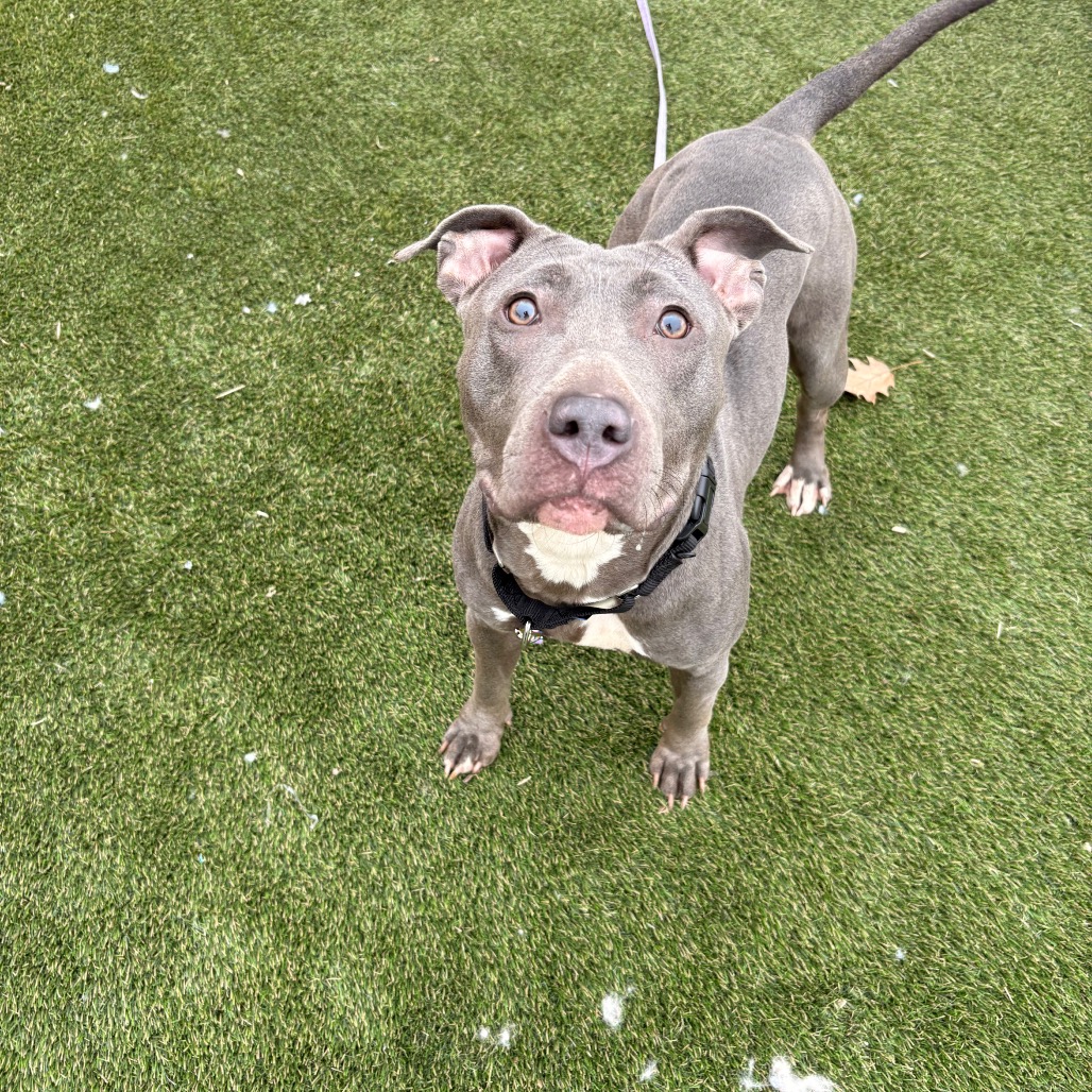 Diva — thumbnail 5