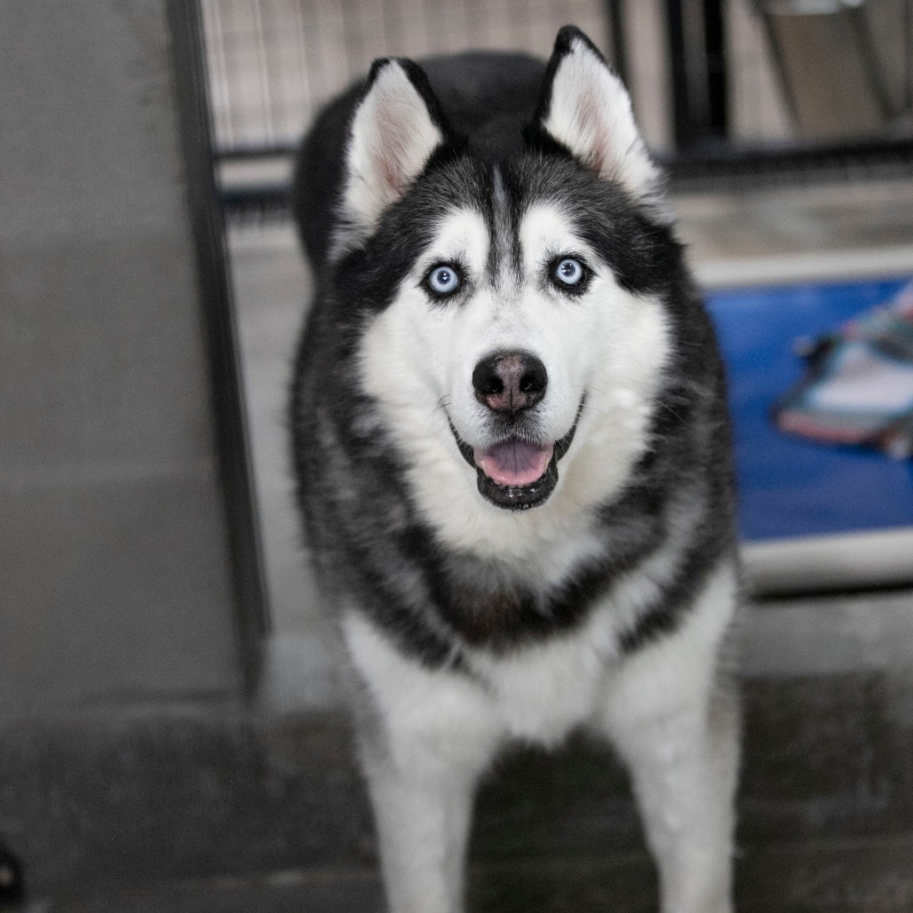 Oliver (F26-09), photo 3