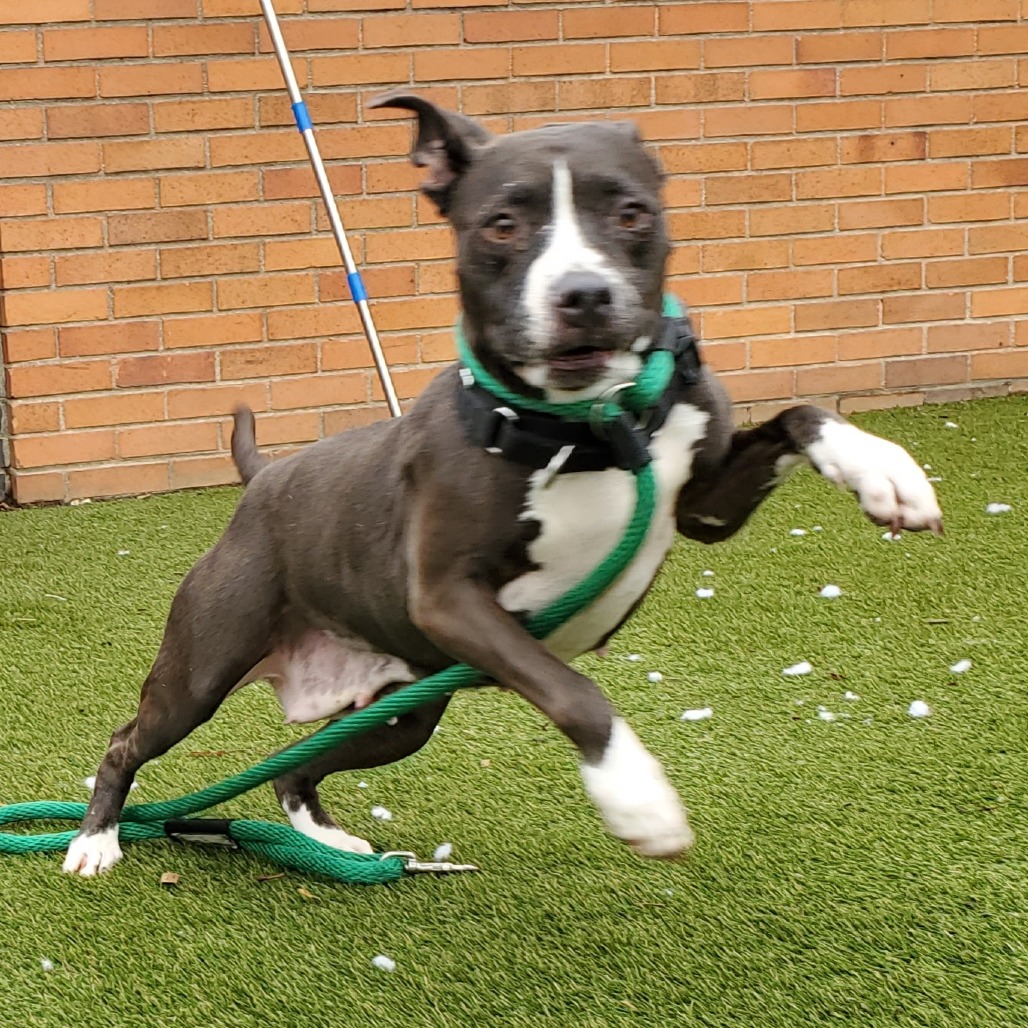 Shayla — thumbnail 3