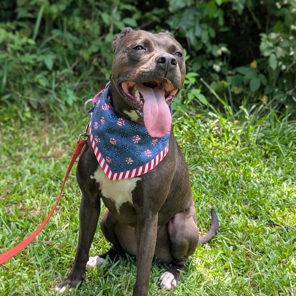 Milly 02-1509, photo 9