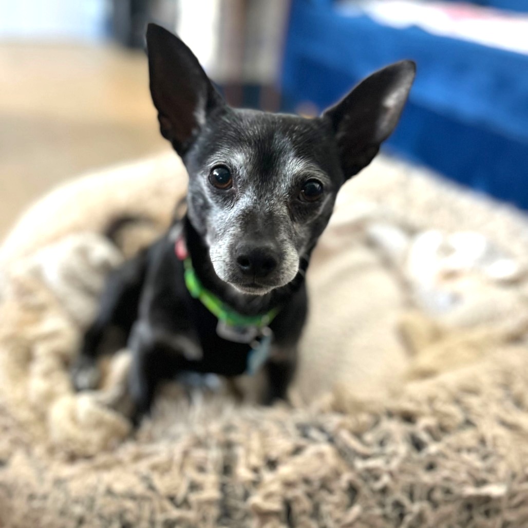 Jeff Probst 13377 — thumbnail 5