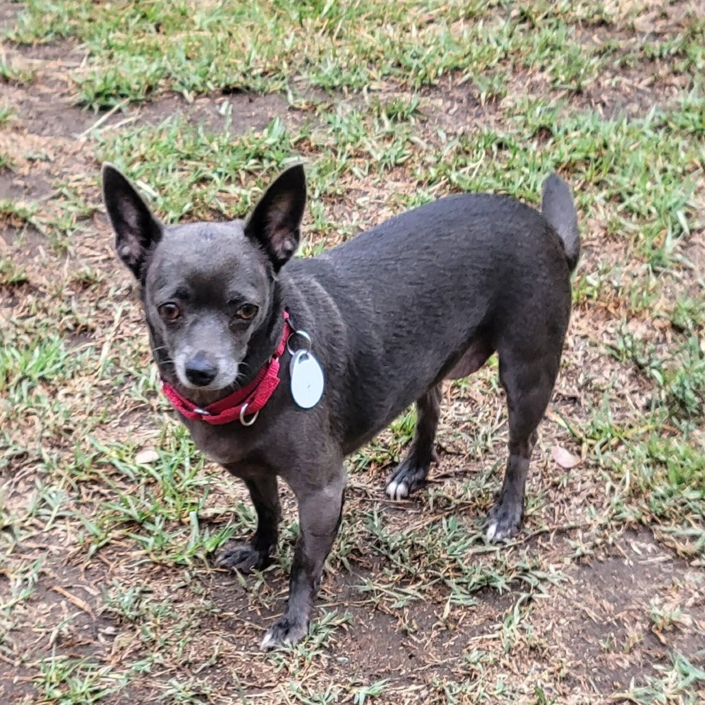 Mavis, photo 5