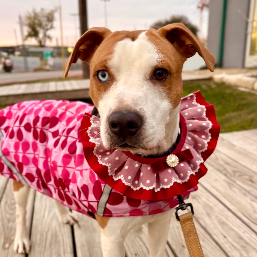 January Eve — thumbnail 8