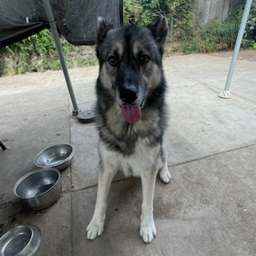 Max