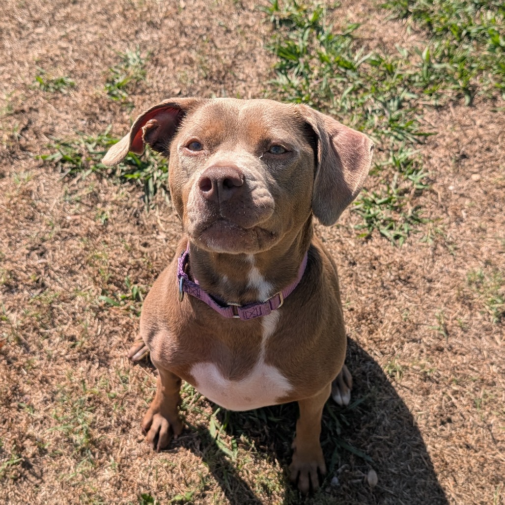 Bella