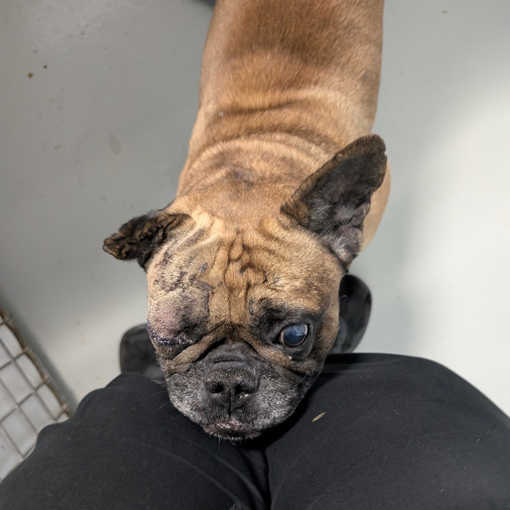 WIGGINS — thumbnail 2