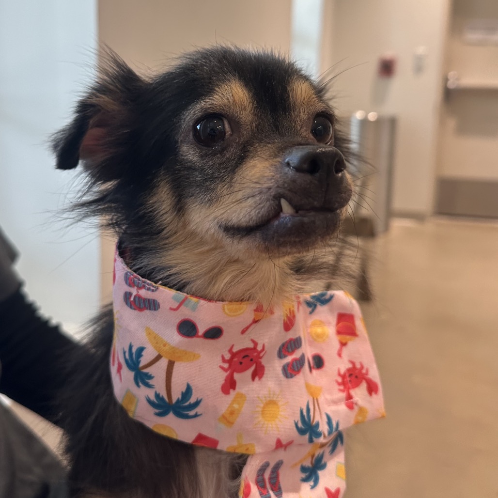 Animal Health Center