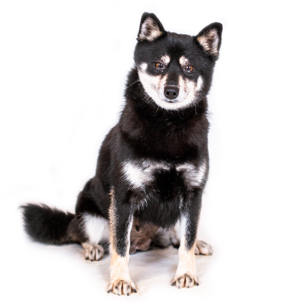 Blacky