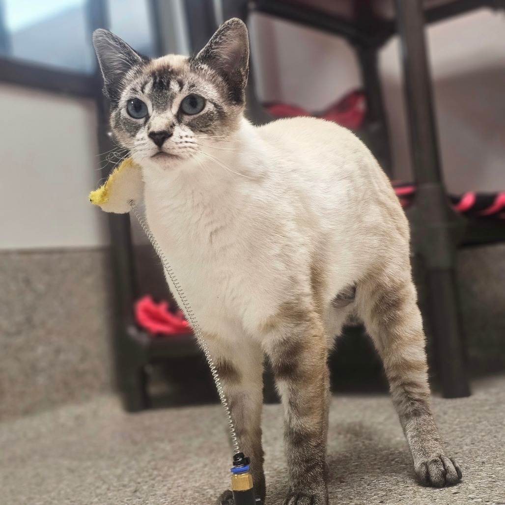 Ubetcha — thumbnail 5