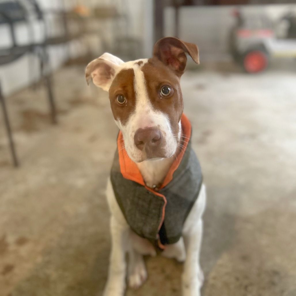 Creed — thumbnail 7