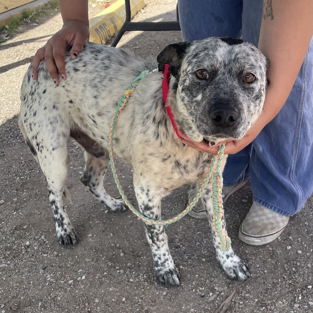 Carl — thumbnail 8