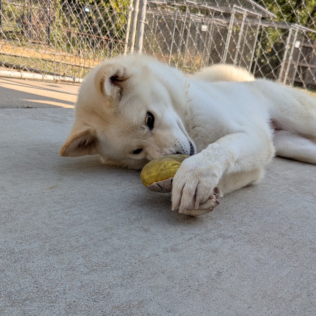 Maggie photo 7