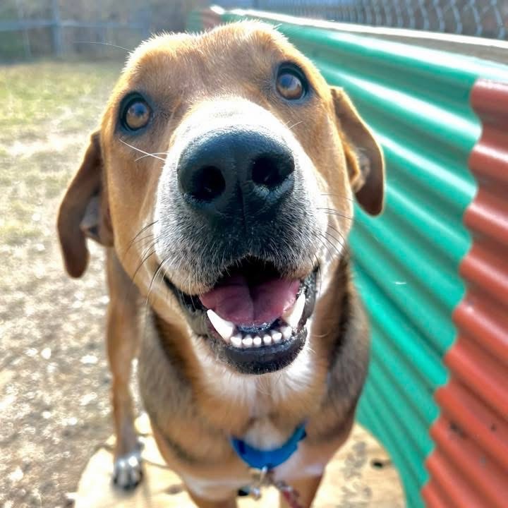 Lenny — thumbnail 7