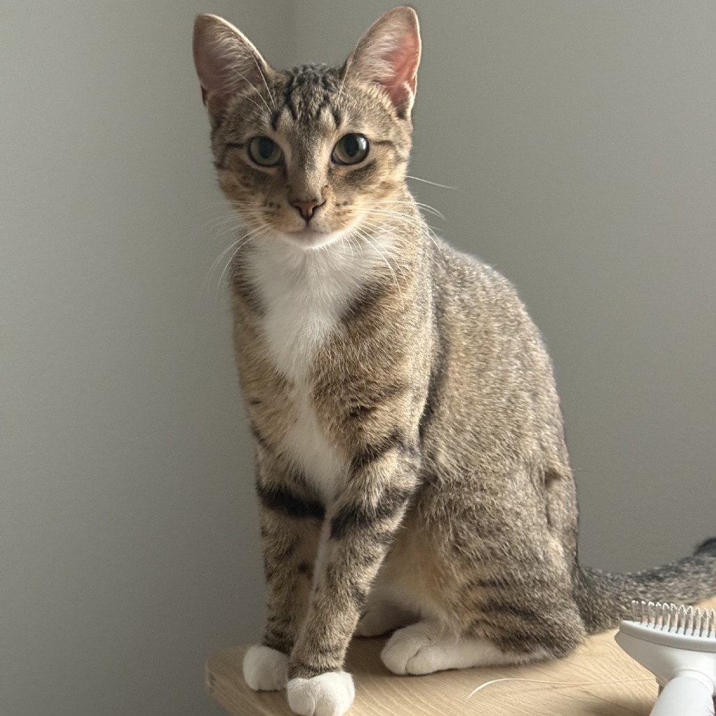 Juliette