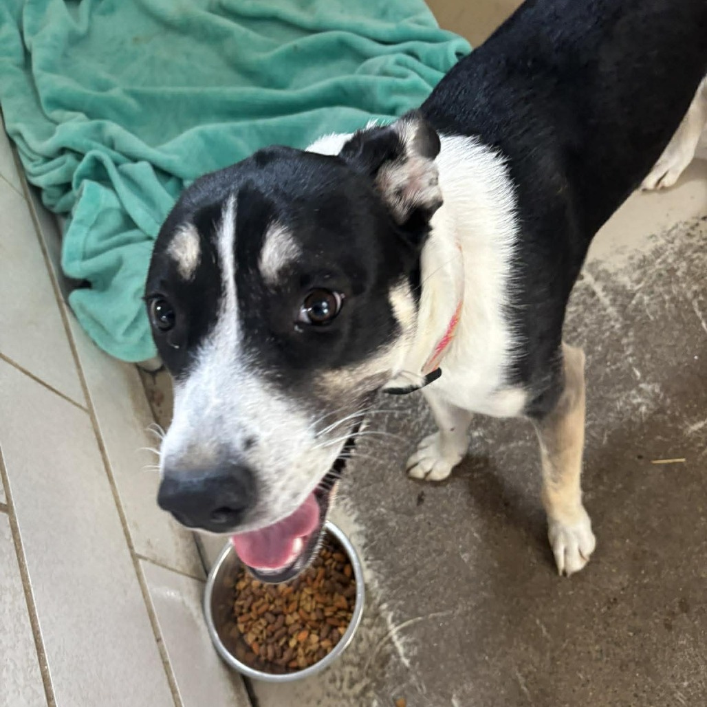 Ella — thumbnail 5