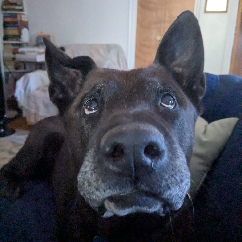 Zuzu, photo 10