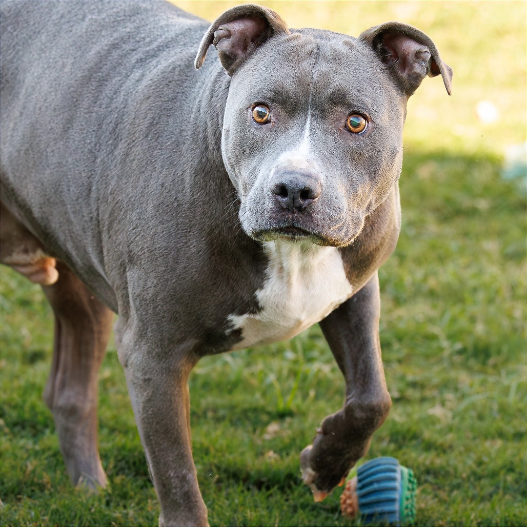 Photo of Blue