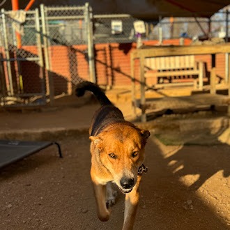 Lenny — thumbnail 9