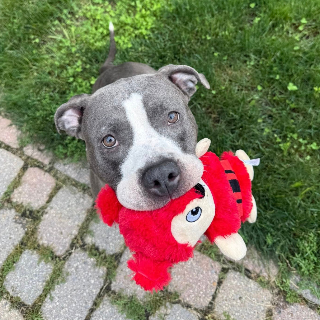 Photo of Scully 14