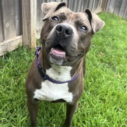 Kizzy — thumbnail 6