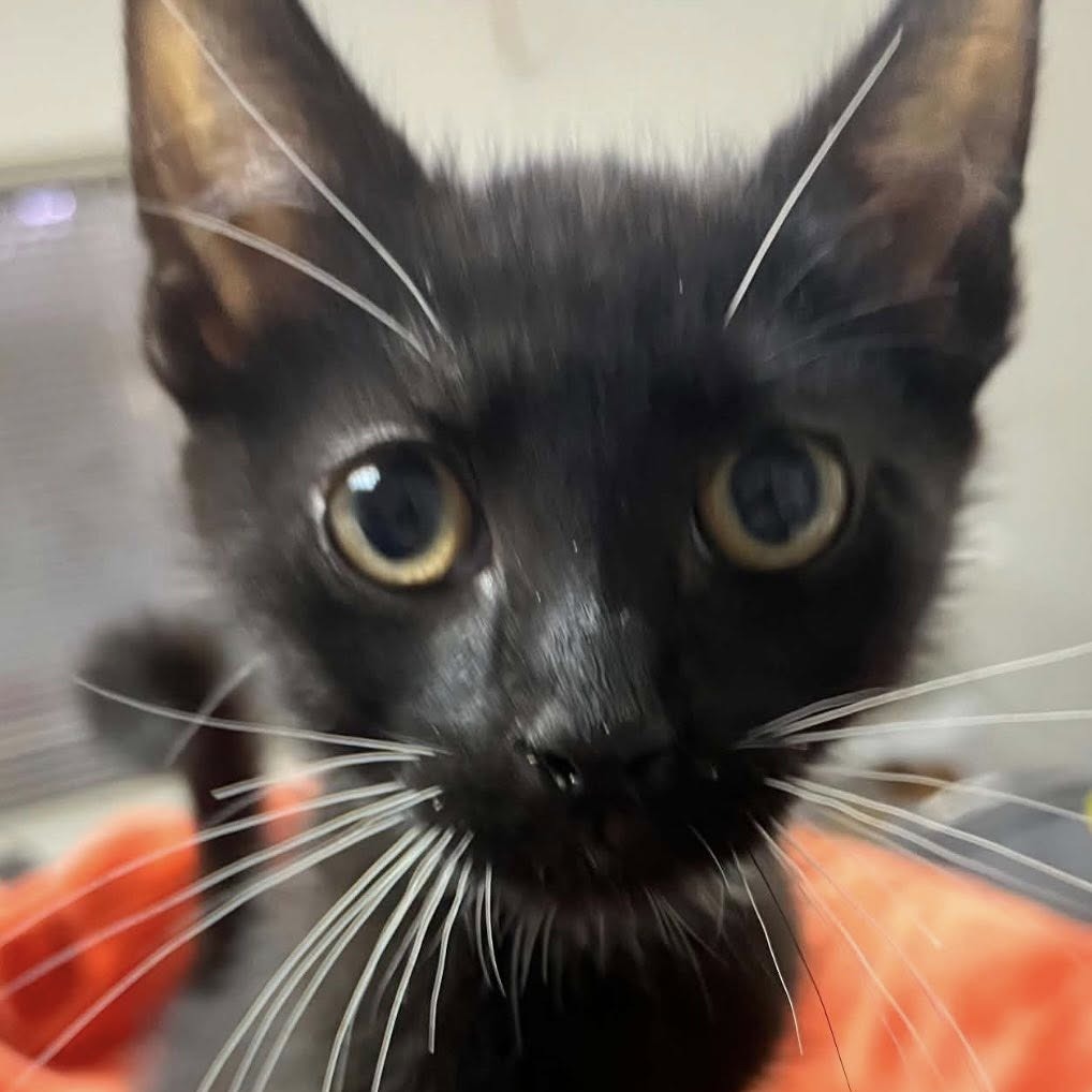 Photo of SPROUT