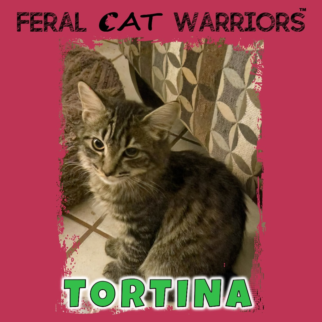 Tortina