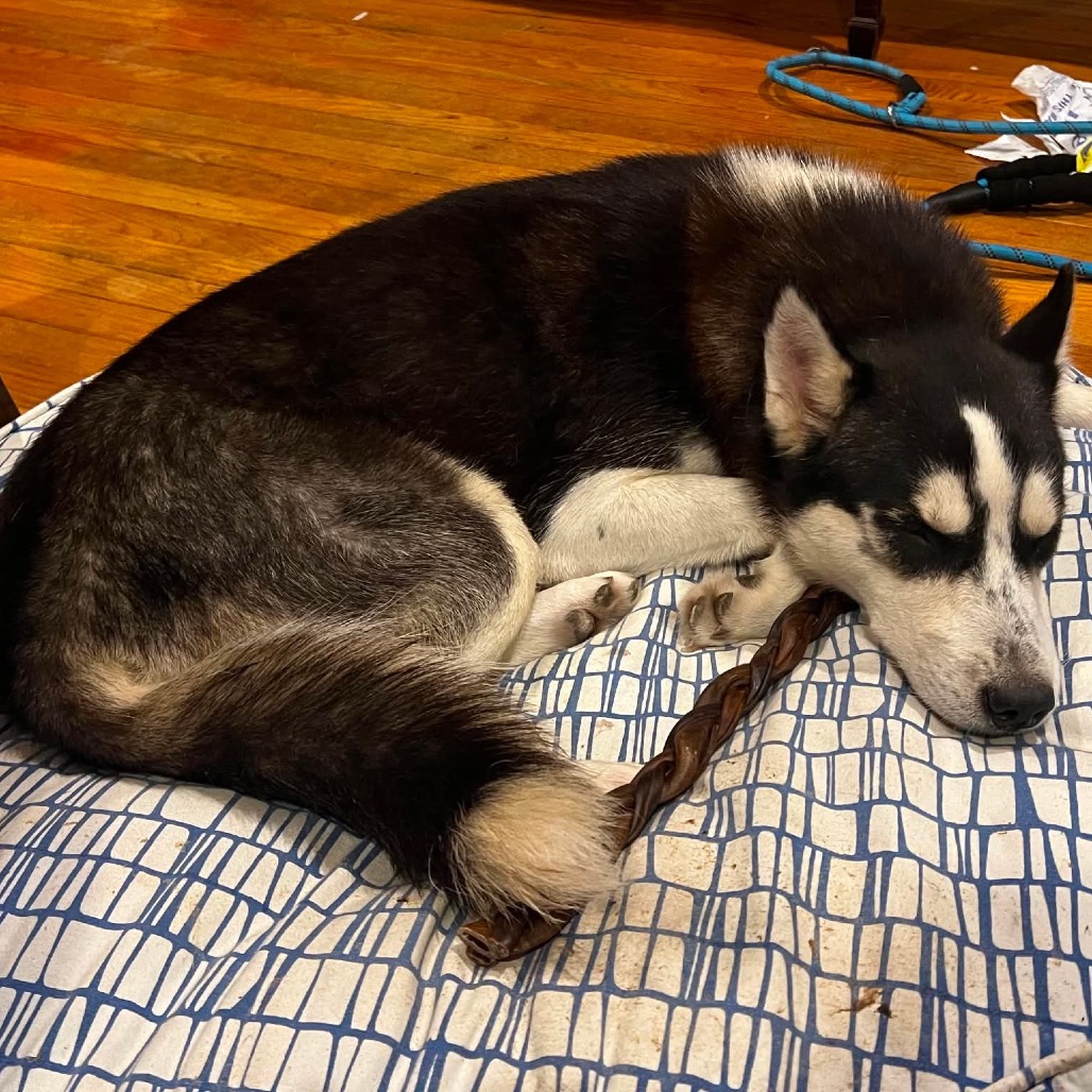 Roxy, photo 5