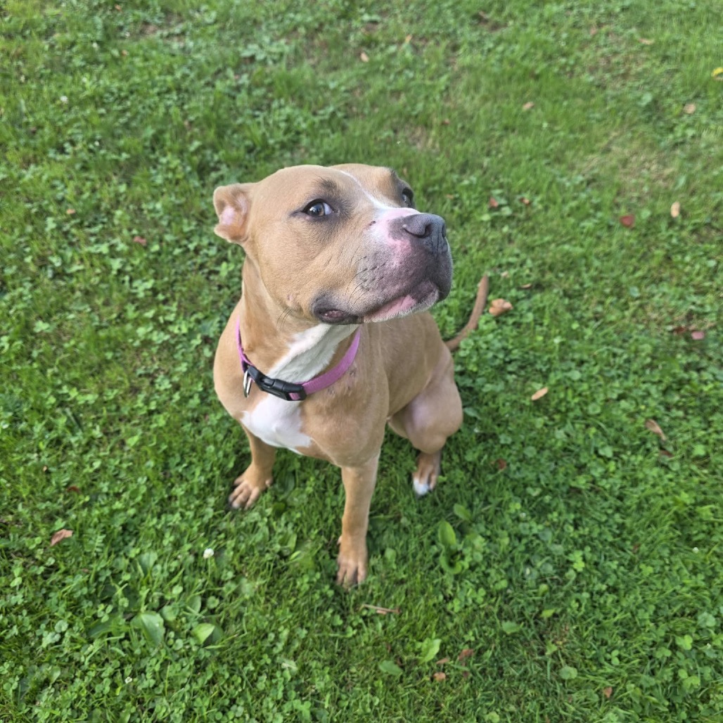 Shiloh, photo 8
