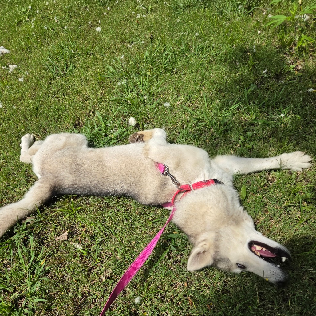 Casper photo 21