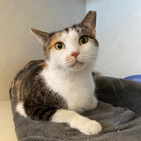 Marie — thumbnail 3