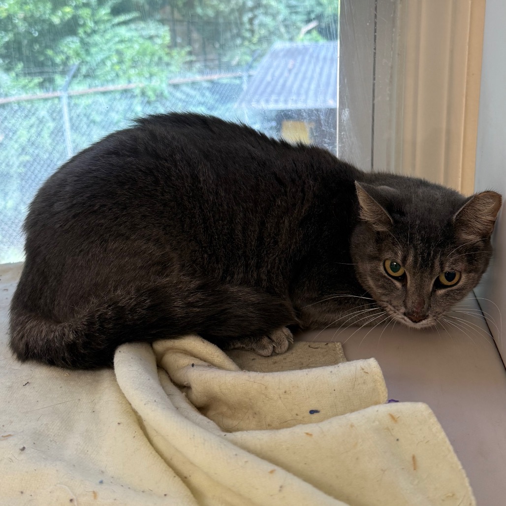 Tusc Wildlife 81757